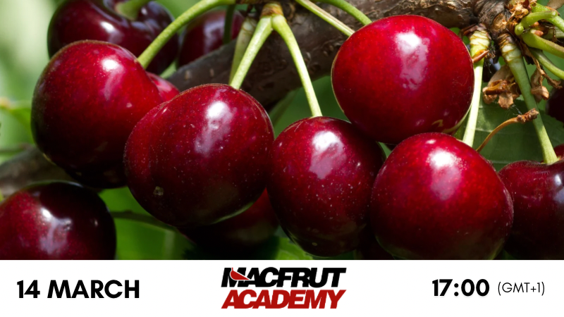 Macfrut Academy.png